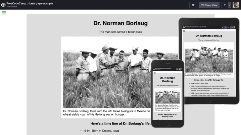 build-a-freecodecamp-tribute-page-responsive-web-design-projects-by