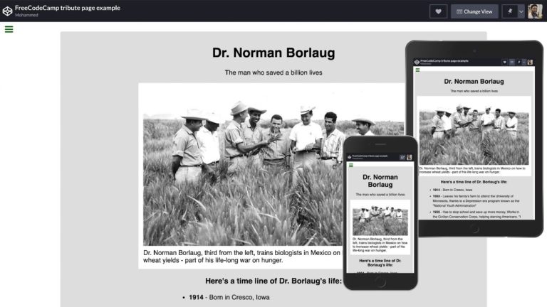 Build A FreeCodeCamp Tribute Page Responsive Web Design Projects By 